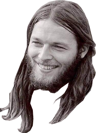 David Gilmour